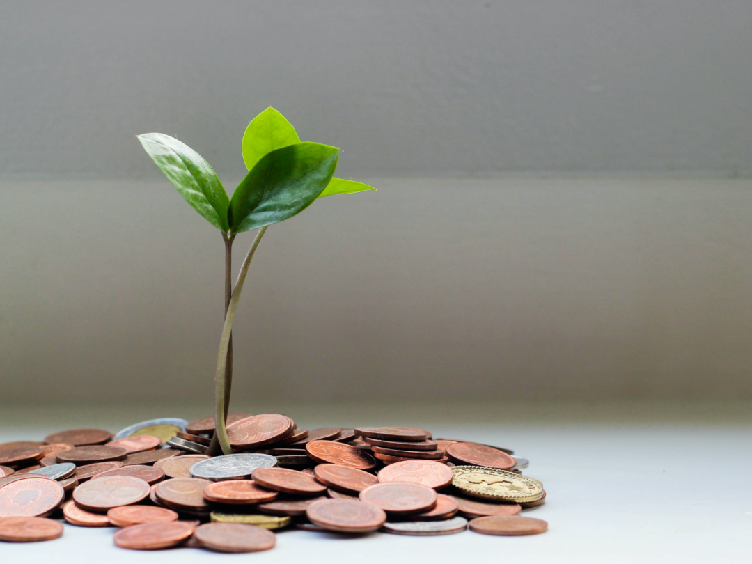 【うまく活用するために】補助金の注意点を解説します!