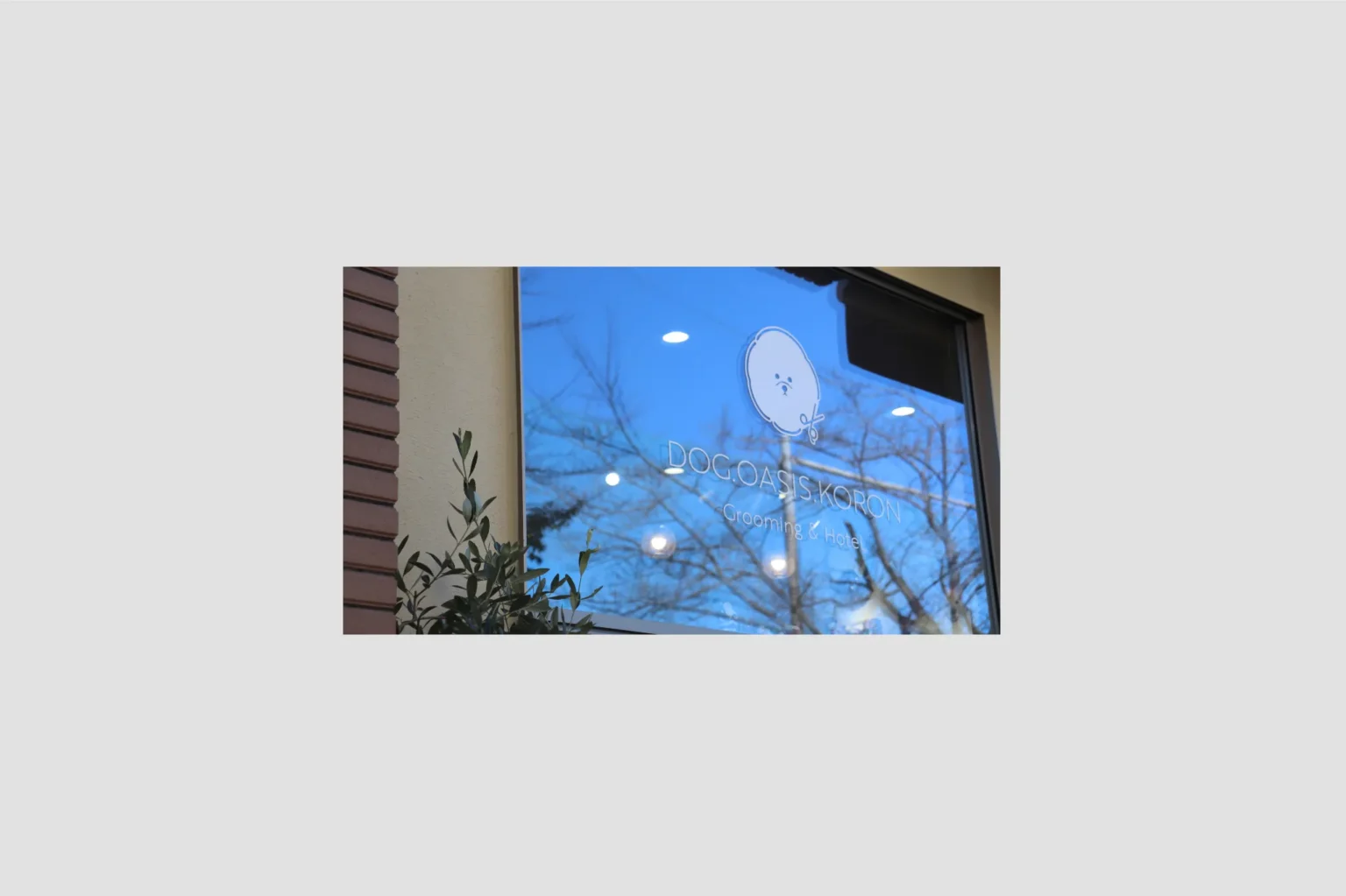 DOG.OASIS.コロンの制作実績
